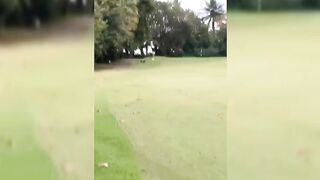 African Couple Seen Fucking On The Field