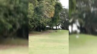 African Couple Seen Fucking On The Field