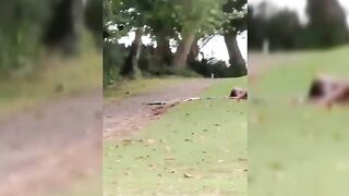 African Couple Seen Fucking On The Field