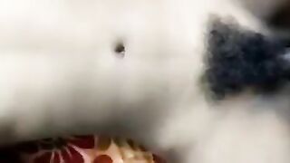 Penetrating That Hairy Pussy