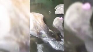 Ugandan Girls Bathing Naked In Village River