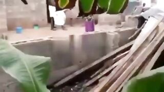 Cheating Man Got Stuck In Girlfriend Pussy