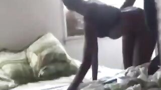 Durban Girl Fucked By Coursemate