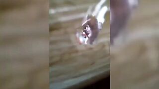 He Posted Video Of His Parents Fucking