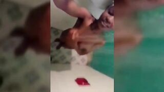 Leak Bathroom Video Of Catharine