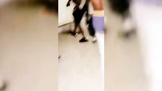 Naija Boys 18+ House Party