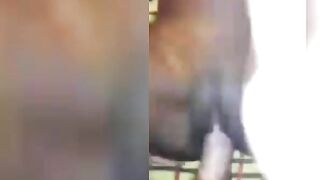 Sextape Of Cape Town Based Girl Felicia