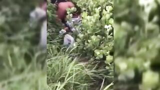 South Africans Seen Fucking In A Bush