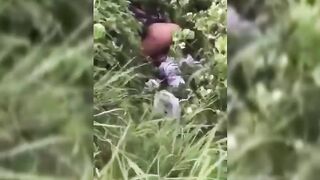 South Africans Seen Fucking In A Bush