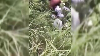 South Africans Seen Fucking In A Bush