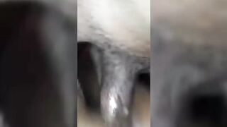 I let Her Ride It How She Want