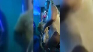 Crazy Night Club In South Africa