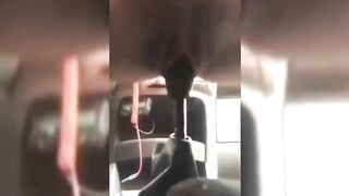 Horny Lady Humping Gear Stick