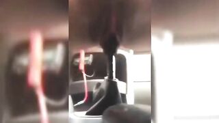 Horny Lady Humping Gear Stick