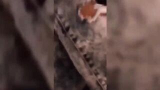 Ghana Girl Came For Maths Tutorial