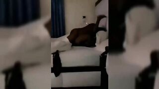 Abuja Escort Girl Shouting As I Entered Wrong Hole