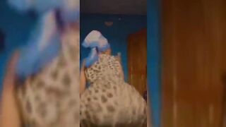 Twerking Her Soft Booty