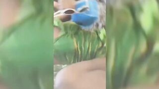 Soweto Sex Worker Giving Quickie