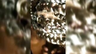 Naughty Escort Girls On My Dick