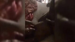 Having Fun With New Househelp