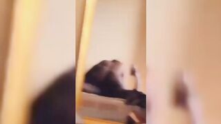 Runs Babe Riding Benin Boy