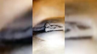 Horny Durban Babe Feeling Bored