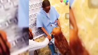 University of Ilorin Girl Giving Blowjob In Truth Or Dare