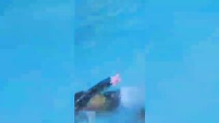 Boobs Exposed In Swimming Pool