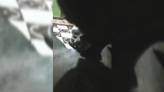 Vivian From Tinder Sucking My Dick