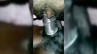 POV Introducing My Dick To Her Pussy