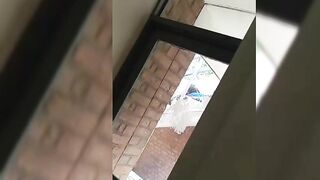 Caught My Bro Enjoying Blowjob